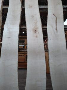 令和5年6月15日 第37回 岐阜銘青会特別市