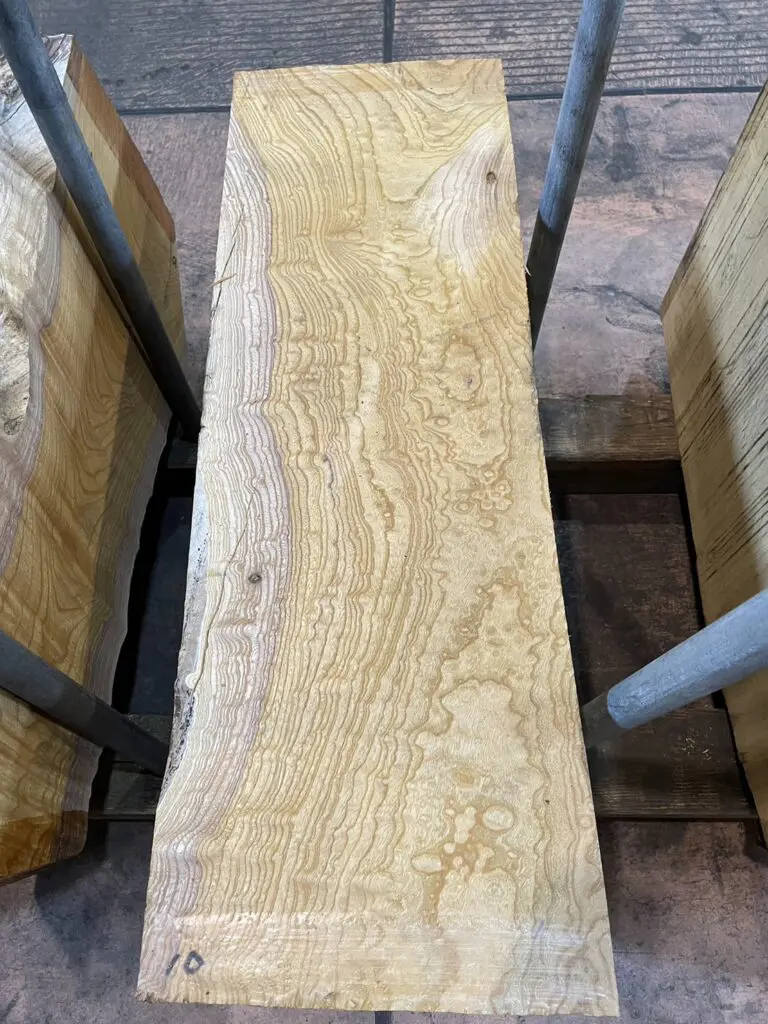 令和5年11月16日 第65回 全国銘木展示大会 | 岐阜県銘木協同組合