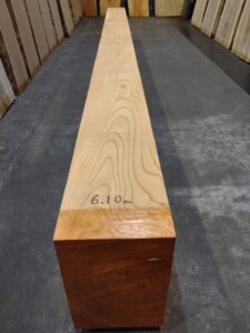 令和5年6月15日 第37回 岐阜銘青会特別市