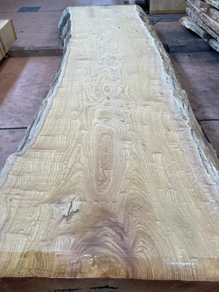 令和5年11月16日 第65回 全国銘木展示大会 | 岐阜県銘木協同組合